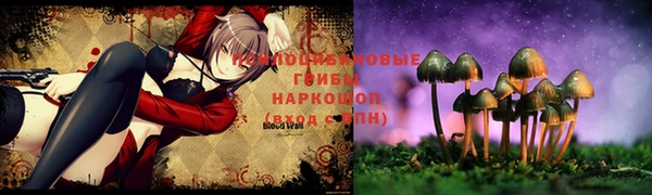 винт Алексеевка