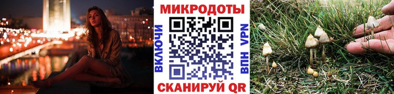 blacksprut ТОР  Завитинск  Псилоцибиновые грибы прущие грибы  купить наркотик 